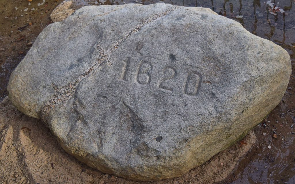 The plymouth rock